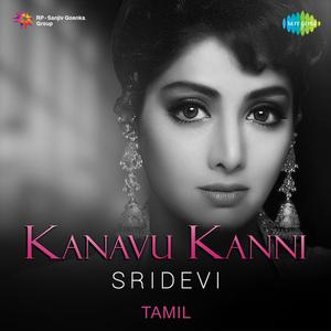 Chinnanchiru (From "Meendum Kokila")