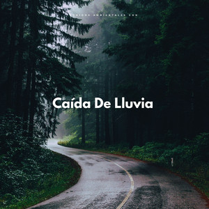 Ducha De Neblina