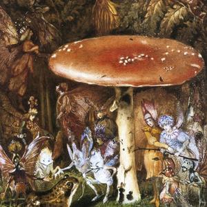 Rebirth Through Magic Seeds