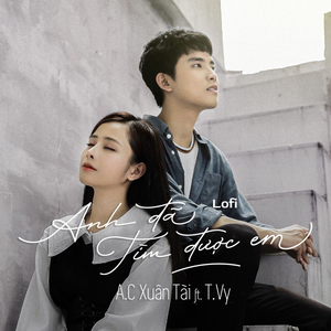 Anh Đã Tìm Được Em (Lofi Version)