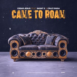 Came To Roam (feat. Sadat X & Craz Digga)