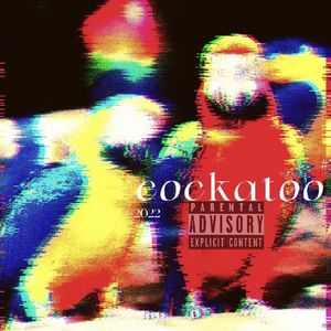 cockatoo feat.thome（Prod. brokeboiishawty）