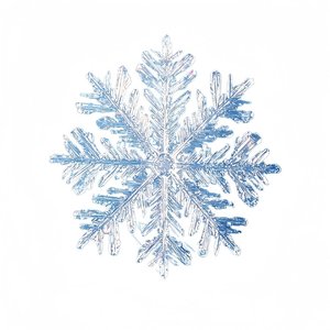 你和雪的共同点