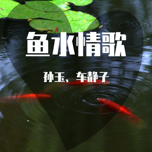 鱼水情歌（翻自 陈瑞）