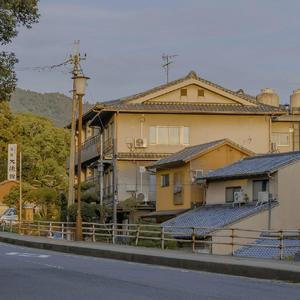 [Free]Walk in the Woods