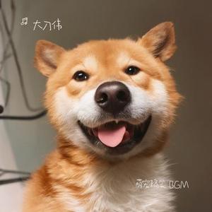 萌宠搞笑 BGM