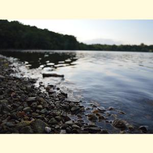 Enough to Let Me Go (feat. The Thistle Brothers)