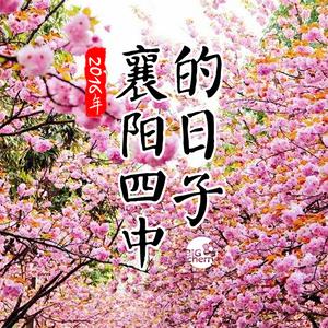 襄阳四中的日子