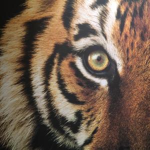 降维打击(prod MEGA)