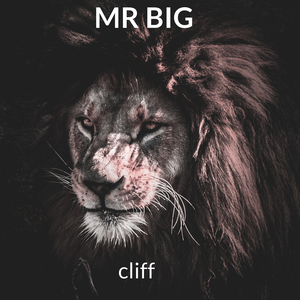 Mr Big