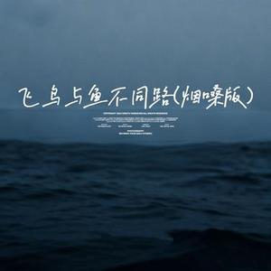 飞鸟与鱼不同路    (Cover 烟嗓船长)