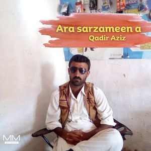 Ara sarzameen a