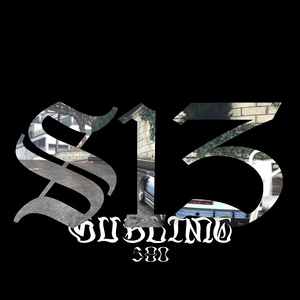 S13
