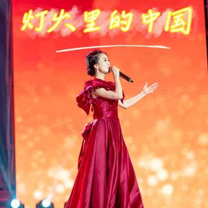 灯火里的中国_纪元媛
