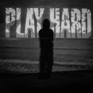 Work Hard Play Hard