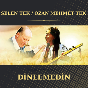 Dinlemedin