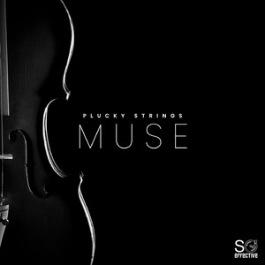 Whimsical Reflections