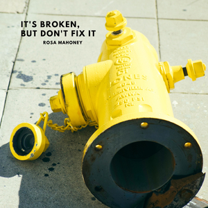 It's Broken, But Don't Fix It