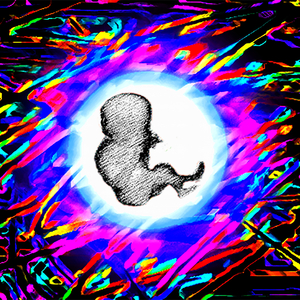 Donde el Sol Nuncá Saldrá