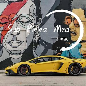 Taylor Swift-Love Story（DJ.Kevin remix）