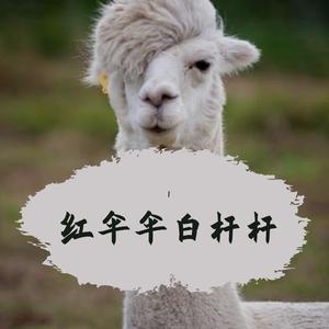 红伞伞白杆杆 (山歌版)