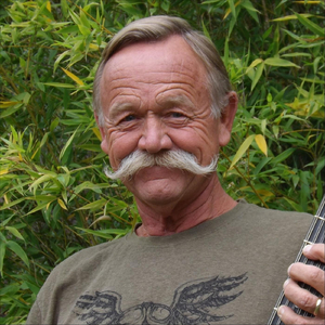 Blood Sucking Mosquito