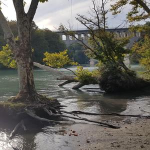 SWISSNATI GIGANTESQUE