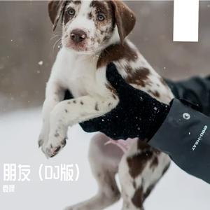 朋友 (DJ版)