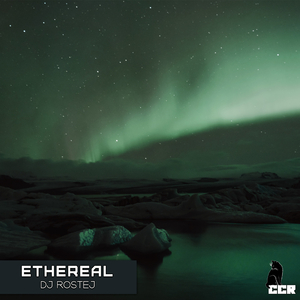 Hidden Path (Radio Mix)