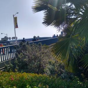 cowgirl in the sand mix