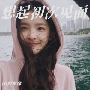 再见了过路人 (Remix)