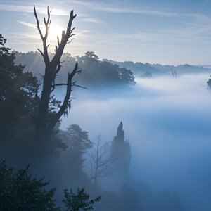chernobyl's quiet zone