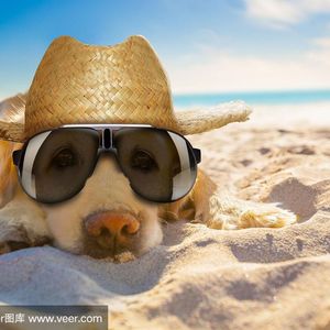 离不开的你 (13)