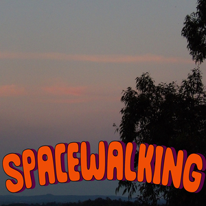 Spacewalking