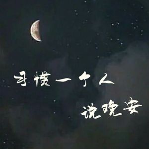 习惯一个人说晚安
