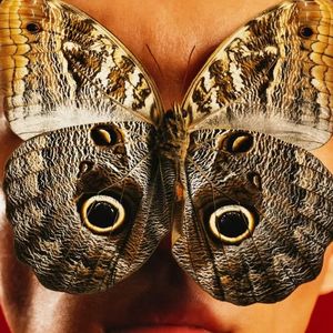 [FREE] "HELP" rexv2 x che x idk Type Beat