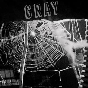 灰色丨GRAY