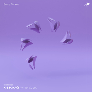 Kış Sokağı (Winter Street)