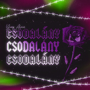 Csodalány