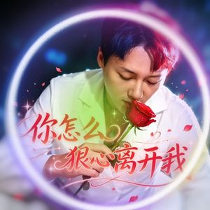 你怎么狠心离开我