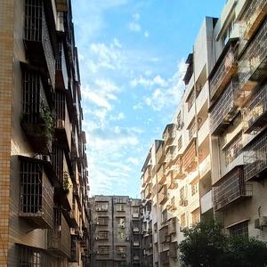 期待花开的日子