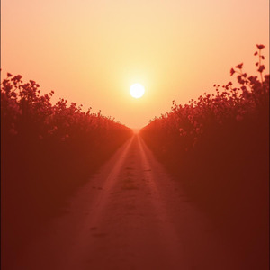 これからどうするかだよね