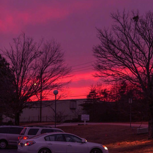 红 + Things You Said