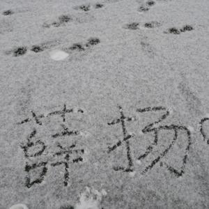 匆匆婚礼