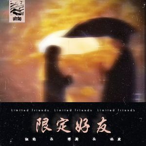 限定好友