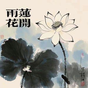 雨莲花开