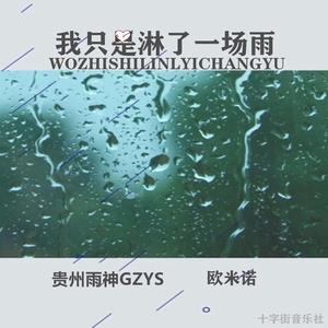 我只是淋了一场雨