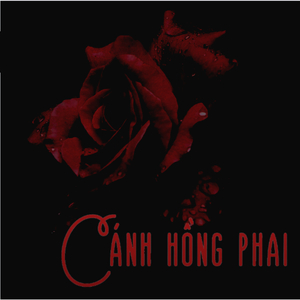 Cánh Hồng Phai (Rap Version)