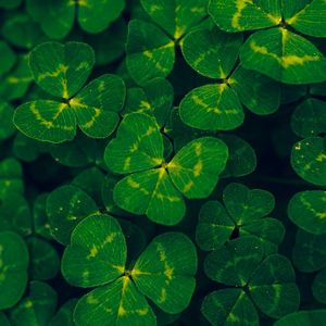 “希望遇到一个害怕失去我的人”