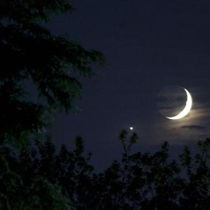 Late Night Wandering